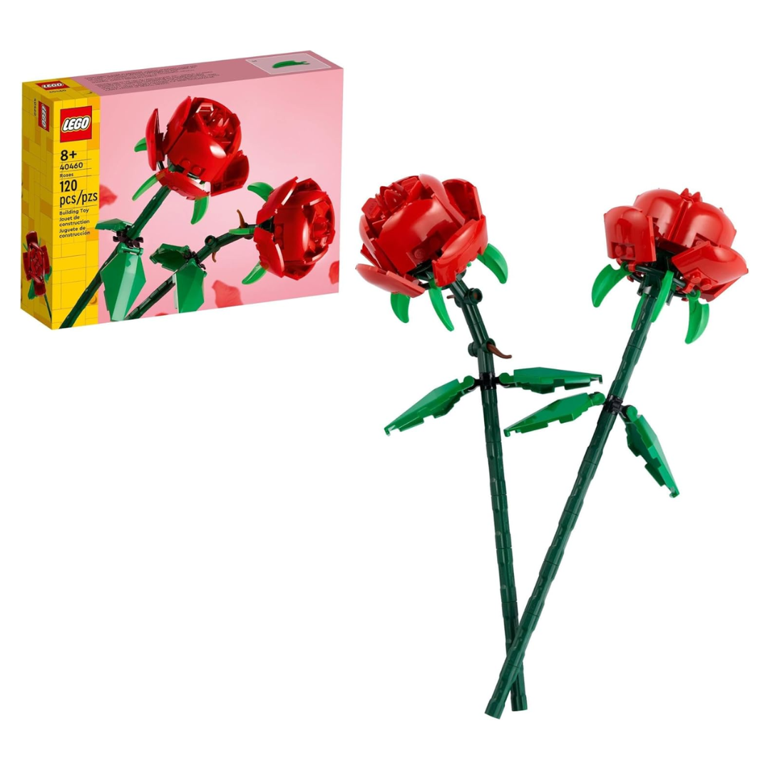 ALMACENAMIENTO - 2025-01-21T145546.147
