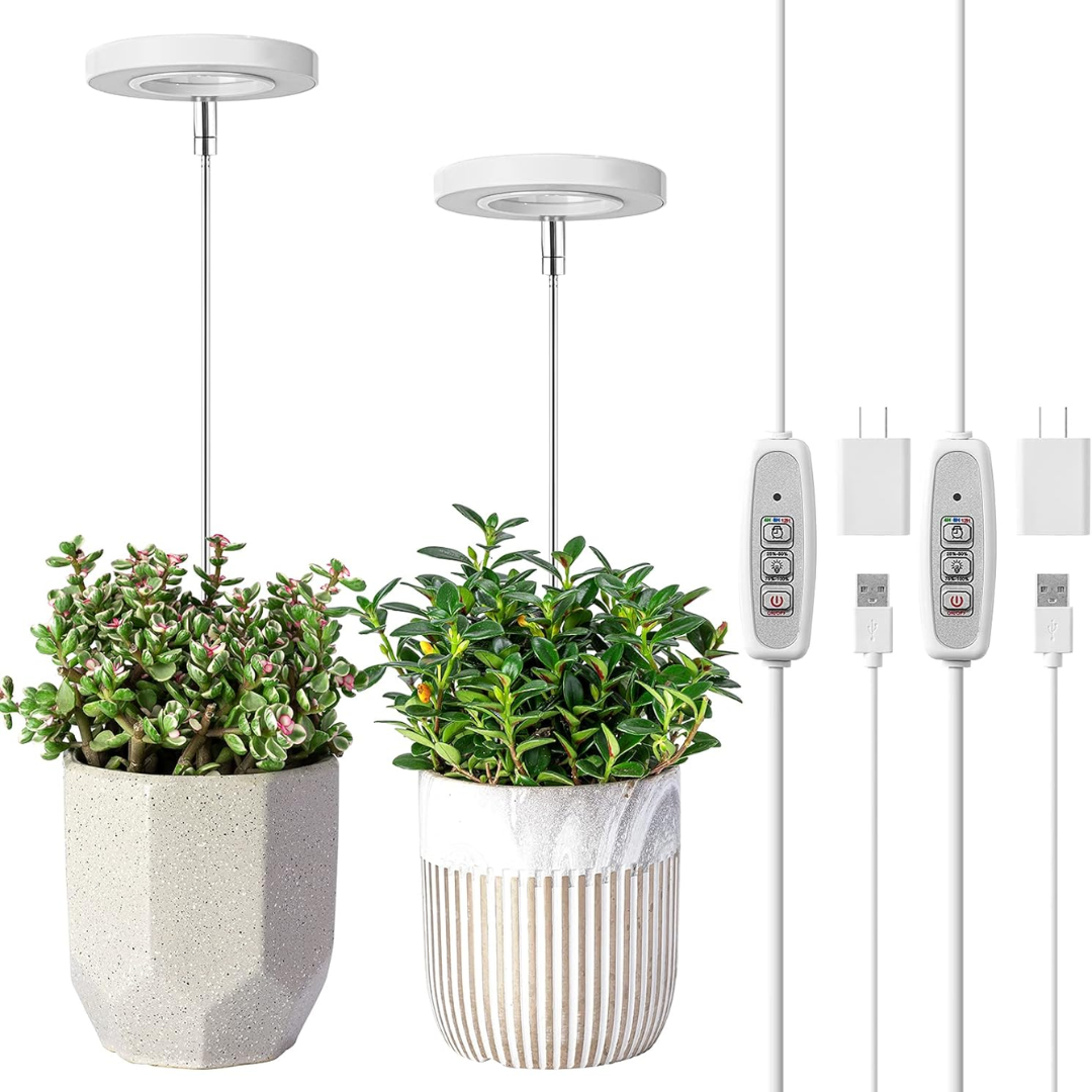 Decoración (80)